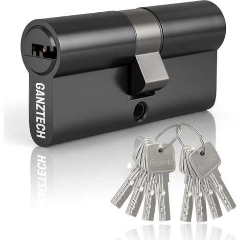 50/50(100mm) Serrure de barillet de porte en nickel,clé à clé avec 8 clés à fossettes horizontales,serrure à cylindre euro en Alliage d’aluminium,Applicable à composites et UPVC (1/5)