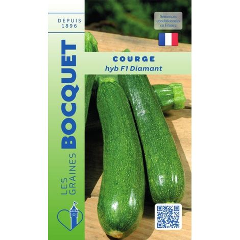 Courge Diamant Hybrid F1 - 2g