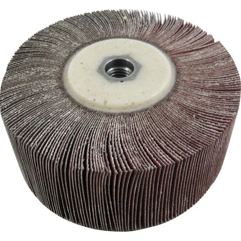 CALFLEX RN12020M14.320 - Meules 1000 lames RN M14 (Ø Ext. 120 mm, Epaisseur 20 mm, Noyau M14 mm, Grain 320)