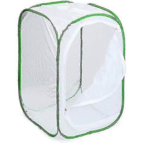 Cage d'observation des insectes pliable pour papillons, disponible en 3 tailles et réutilisable. (1/5)