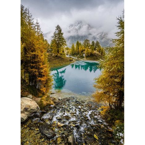 Tableau sur toile automne 30x45 cm - Impression sur Toile Murale Décorative - Image imprimée en HD sur Toile - Toile sur Châssis en Bois FSC - Fabriqué en France (1/5)