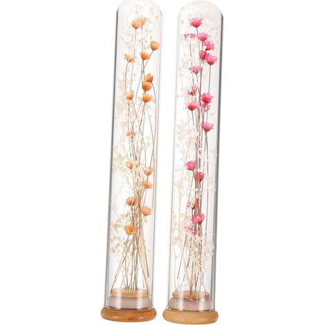 Bouquet De Fleurs Séchées dans Un Bocal en Verre 2 Pétales Fleurs Séchées Naturelles pour Décoration Vase À Fleurs Préservé pour Elle (1/5)