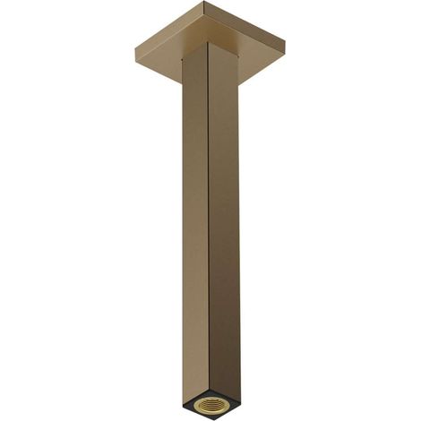 Hansgrohe - Decken-Brausearm, 31 cm, Bronze gebürstet 24339140ROZ1 (1/5)