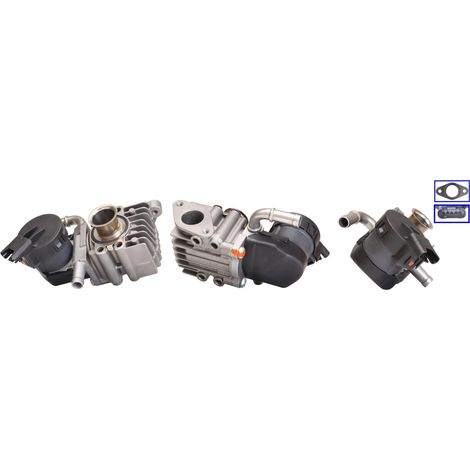 Vanne EGR Elstock 73-0206 BMW 11717548415