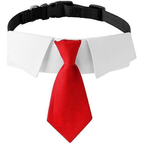 Katzenhalsband mit Fliege, Hochzeitsoutfit für Katzen und kleine bis mittelgroße Hunde, rote Farbe, elegantes Accessoire für Mädchen. (150 Zeichen)