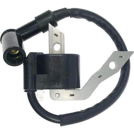 Le transformateur haute tension 279-79430-01 convient aux EX30 et EX27 9,0 HP et 9,5 HP. (1/5)