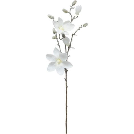 Branche décorative spéciale fêtes Magnolia Blanc enneigé H 66 cm - Feeric Christmas