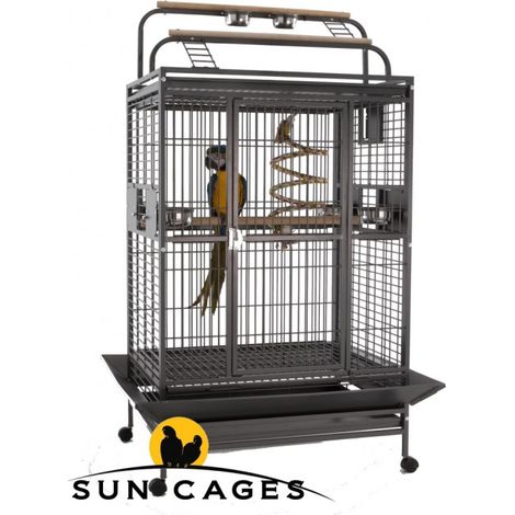 SUN PARROTS JAULA HACIENDA GYM
