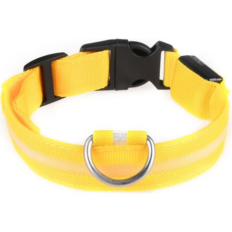 Collier LED rechargeable par USB pour chien de compagnie, clignotant, lumineux, sécurité, lumière en nylon (1/5)