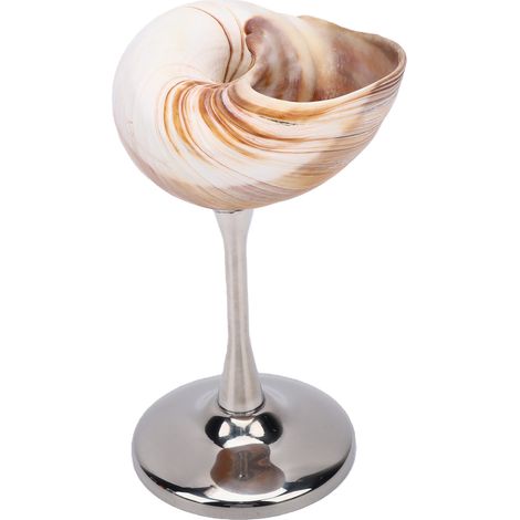 Verre à vin en coquille de conque, tasse de mariage, gobelet à Martini, verres à Cocktail, verres à pied pour fête d'anniversaire A (1/5)