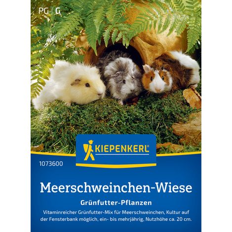 Kiepenkerl Rasensamen Meerschweinchen-Wiesen Grünfutter-Pflanzen für ca. 3 - 5 m²