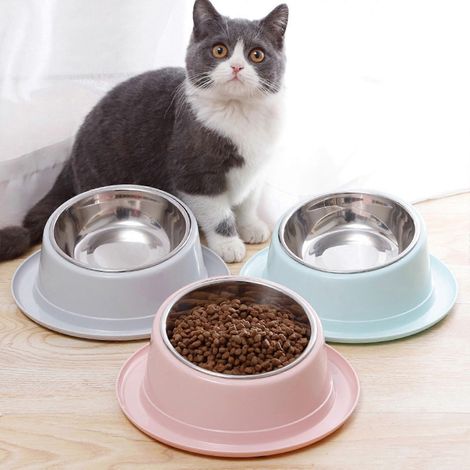 Gamelles surélevées pour chiens et chats, distributeur d'eau et de nourriture anti-stress pour animaux de compagnie avec base anti-vomissements (1/4)