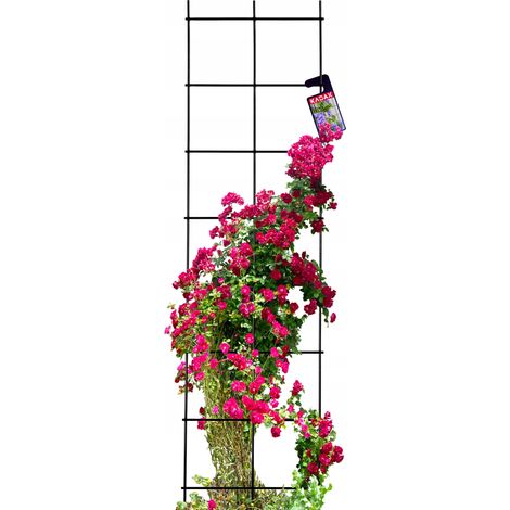 KADAX Rankgitter, Rankhilfe aus Stahl, Wandgitter für Pflanzen, 120 cm