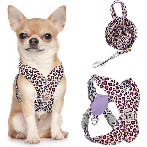 Harnais pour Chiens avec Laisse, Harnais Sécurisé Anti-Traction (1/5)