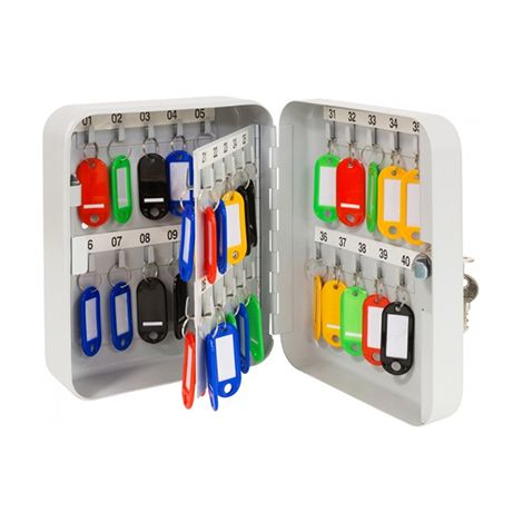 ARREGUI PLL40 Armario de Llaves con Ganchos Fijos  40 llaves  Caja de Seguridad de Acero para Llaves  con Llaveros Incluidos  Fácil Instalación en Pared  20 x 16 x 8 cm  gris