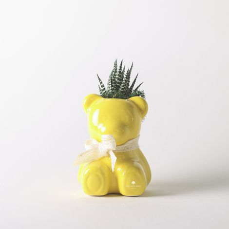 Pianta grassa in vaso ceramico orsetto artigianale Made in Italy Orsetto - Giallo