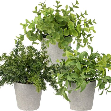 Lot de 3 mini plantes artificielles eucalyptus et romarin en pot ciment pour décoration intérieure (1/5)