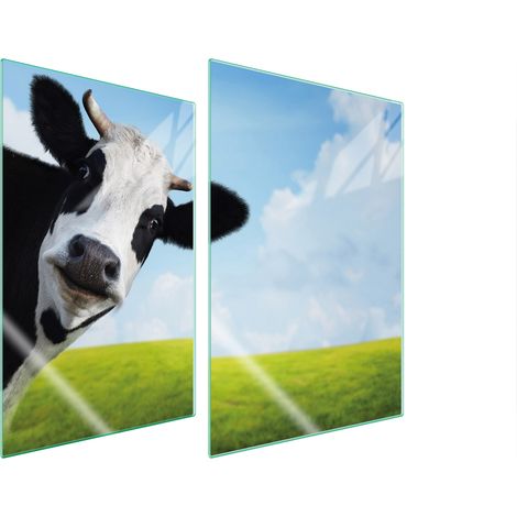 Assiette de protection en verre pour la cuisine 2x35x52 vache (1/5)