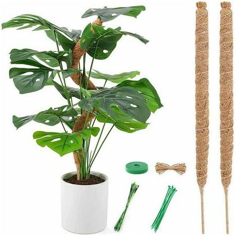 Filiyano-2 tuteurs pliables en fibre de coco de 110 cm (44 pouces) avec bâtonnets en fibre de coco pour plantes grimpantes Monstera, 1 rouleau de (1/5)