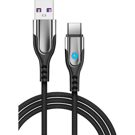 Câble de charge rapide USB-C 1 mètres (1/5)