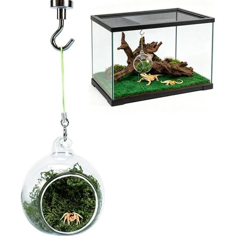 Maison Araignée Sauteuse Hamac De Repos Magnétique Habitat Cachette Hamac pour Araignée Sauteuse - Terrarium Amphibiens Coléoptères Rhinocéros Lézard Tortue Intérieur Extérieur (1/5)