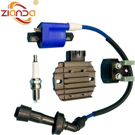 Ignition coil, spark plug and relay for Yamaha Raptor 660R motorcycle (1/4)