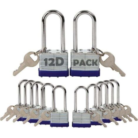 Lot de 12 Cadenas à Clé Identique Acier Laminé Antirouille 40mm pour Casier Clôture Portail