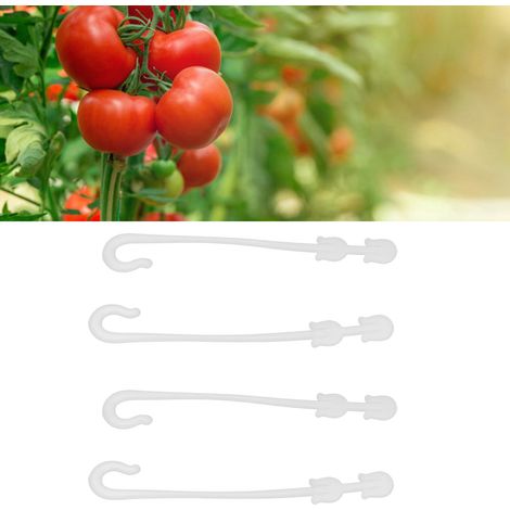 150 pièces/crochets à tomates, crochets de suspension pour tomates, crochets pour grappes de fruits, crochets pour suspendre les fruits. (1/5)