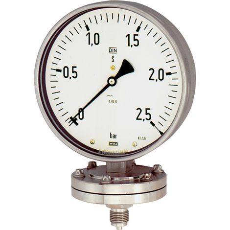 Riegler Plattenfedermanometer, Chemie, G 1/2 radial unten, 0 - 6,0 bar, Ø 100 (1/2)