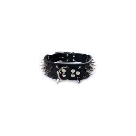 Collier de chien clouté en cuir luxueux avec pointes, anti-mordant – (1/5)