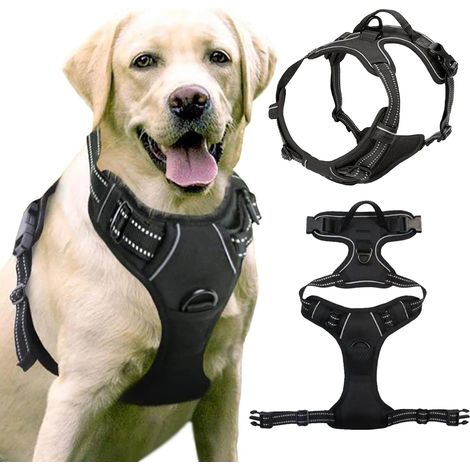 Harnais Anti Traction pour Chien Moyen et Grand, Réfléchissant Réglable, Souple Avec Attache Devant - Large XL (1/5)