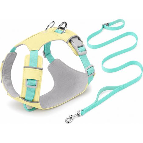 Équipement de promenade pour chien avec laisse cyan XL