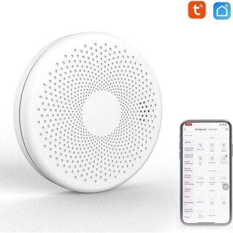 Détecteur de fumée et de monoxyde de carbone intelligent - Wifi 2 en 1 - Co détecteur de son de gaz - Fonction d'alarme de lumière stroboscopique (1/4)