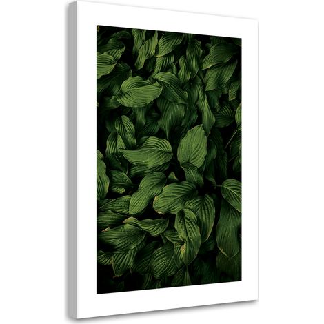 Tableau sur toile Feuilles vertes foncées 40x60 (1/5)