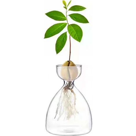 Vase florale [Avo] modèle élégant en verre borosilicaté haut blanc de 14 cm