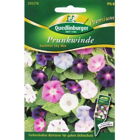 Quedlinburger Prunkwinde Summer Sky Mix - Blumensamen (1/2)