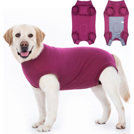 Combinaison de convalescence chirurgicale pour chien - Protège les plaies - Combinaison médicale pour animal domestique - Combinaison chirurgicale après chirurgie - Alternative aux cônes (1/5)