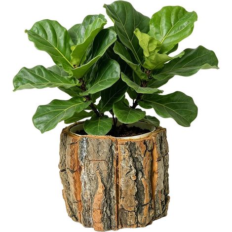 Blumentopf rustikaler Blumenkasten Blumentöpfe für (1/5)