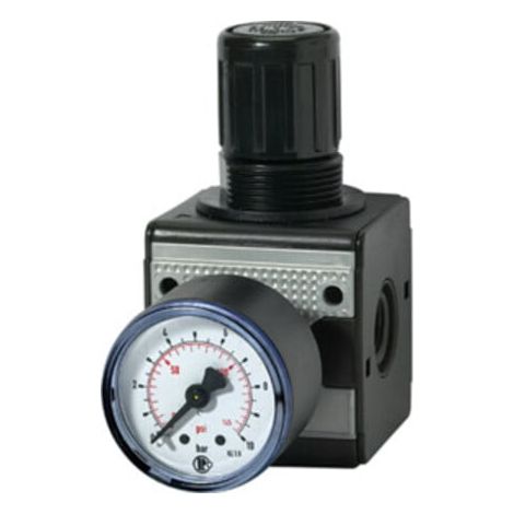 Riegler Druckregler »multifix «, inkl. Manometer, BG 1, G 1/4, 0,5 -10 bar (1/4)