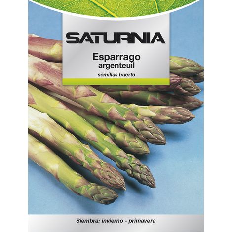 Semi di asparagi da giardino (1/2)