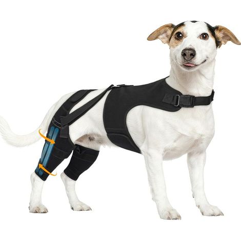 Rodillera para perros con rotura del ligamento cruzado de la pata trasera, ajustable con 4 estabilizadores, soporte para la cadera (Pequeña/Mediana/Grande)