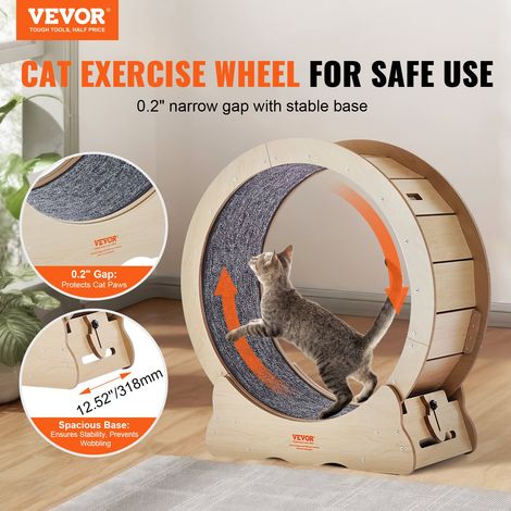 Roue d'Exercice pour Chat 750 mm Grande Roue de Course pour Chat d'Intérieur, avec Tapis Roulant Amovible, Teaser pour Chat pour Courir, Marcher, Entraînement, Convient à la Plupart des Chats (1/5)