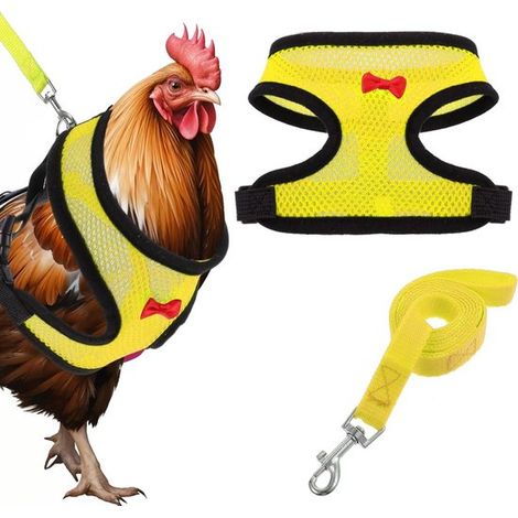 Hühnergeschirr mit Gurt und verstellbarem Zubehör Komfortabel und strapazierfähig 1 Meter Zugseil Geeignet für Hühner Enten Gänse und Haustiere M