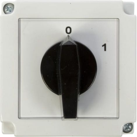 Interrupteur à came 0-1 1P 16A dans boîtier 4G16-90-PK R114 63-840392-021