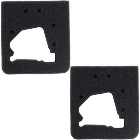 Pair Pack de 2 éléments de filtre à Air 17211-ZM3-800 pour Honda GX22 GX31 GX 22 GX 31 moteur FG100 motoculteur (1/5)