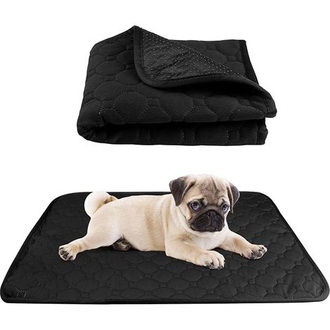 Washable Reusable Dog Training Mat, 60 x 45 cm (1/5)