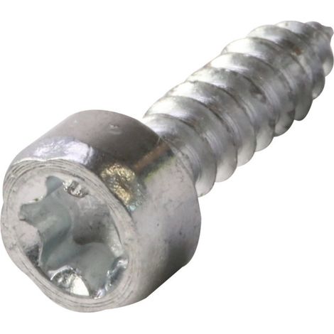 Vis autotaraudeuse de forme cylindrique pour tronçonneuse Stihl MS171 MS181 MS211