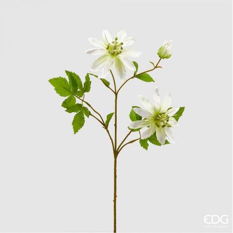 Passiflora Rex con 3 rami color Avorio h 65 cm