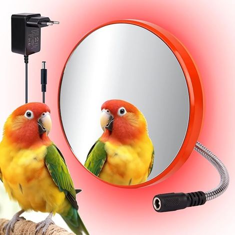 Thermostatic Bird Heater with Mirror, Bird Cage Parakeet Grey (1/5)