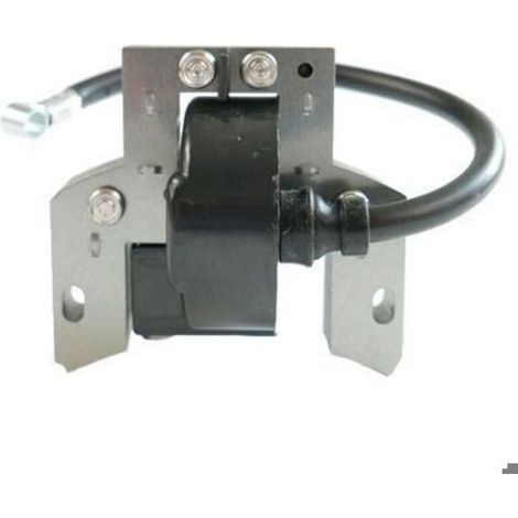 Bobine Allumage - 63.5 mm - Pour Moteurs Briggs Et Stratton 2 À 4 Cv - Référence 591420 (1/4)